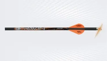 Ravin Lighted R10 400 Grain Arrows 3-Pack