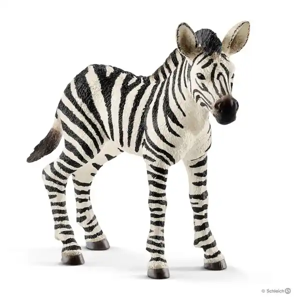 Schleich Zebra Foal 14811