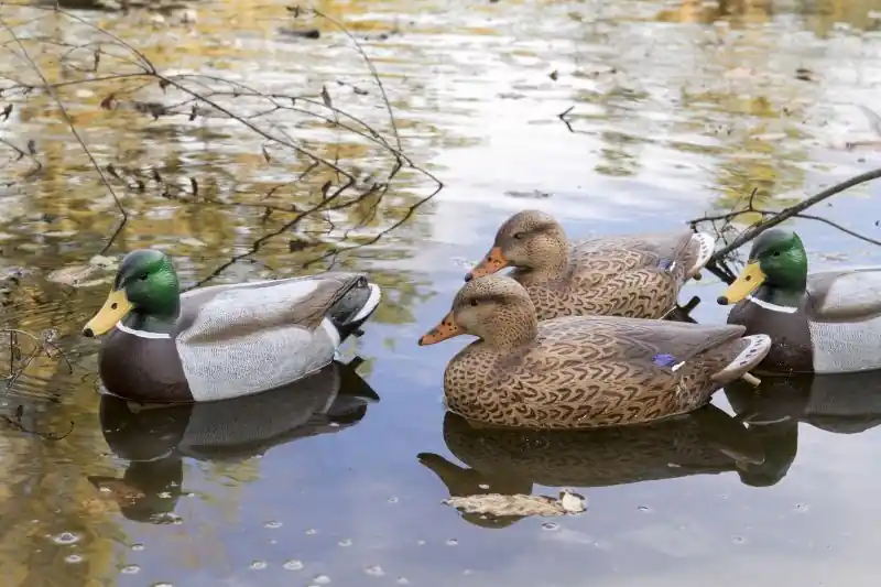 Flambeau StormFront 2 Classic Mallard Floaters 6 Pack 8036SUV