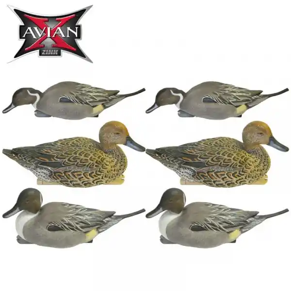 Avian-X Topflight Pintail Decoys 6 Pack AVX8082