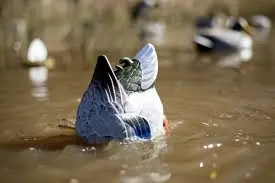 MOJO Butt UP Rippler Motion Duck Decoy HW2459