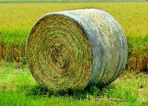 Tytan Intl 48in x 9,840ft Net Wrap