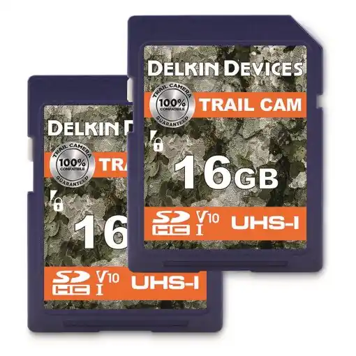 Delkin Devices 16GB SD Memory Card, 2 Pack