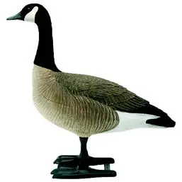 Big Foot Canada Goose Full Body Decoy