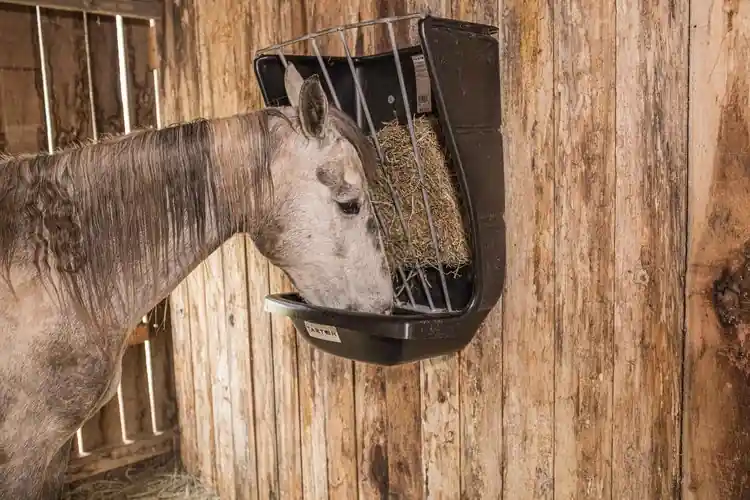 Tarter Wall Mount Hay and Grain Feeder GFP