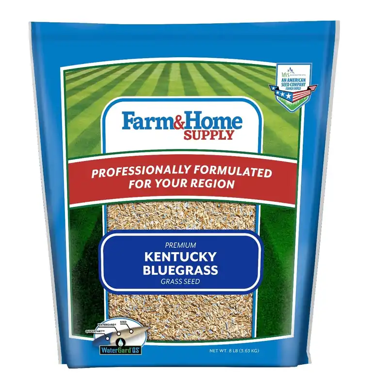 Farm & Home Supply Kentucky Bluegrass Grass Seed 8lb