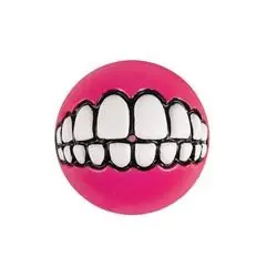KONG RZGR04 Dog Toy, L, SEBS, Assorted