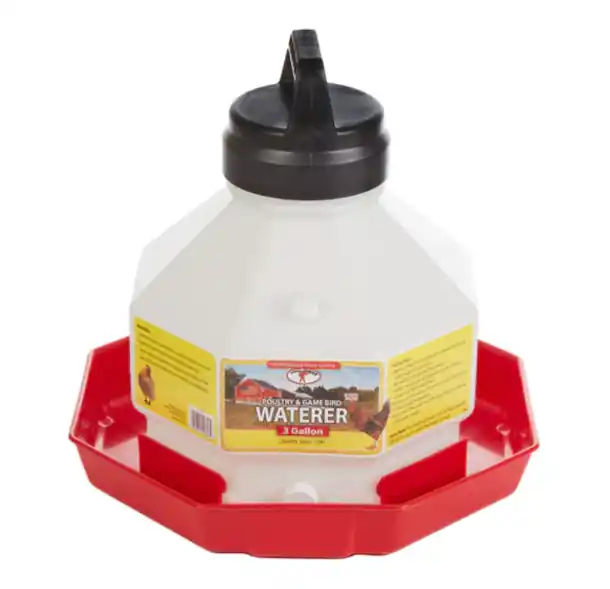 Little Giant Plastic Poultry Waterer 3 Gallon PPF3