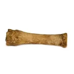 Nylabone Healthy Edibles NE805P Souper Dog Chew, 50 lb, Roast Beef Flavor, Treat, 1, Pack