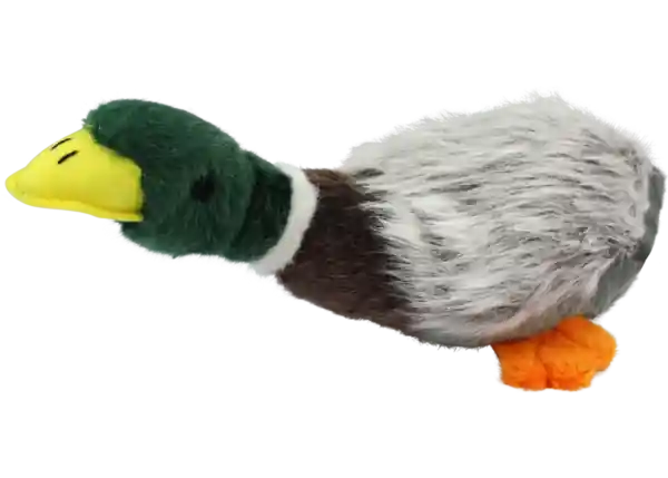 multipet 15" Migrators Mallard Dog Toy
