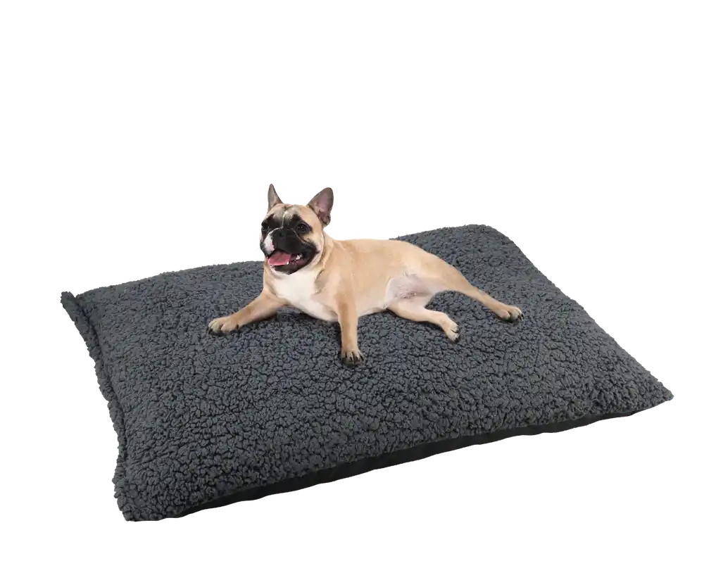 Main St. Pet™ Medium 30"x20" Dog Bed Assorted Colors