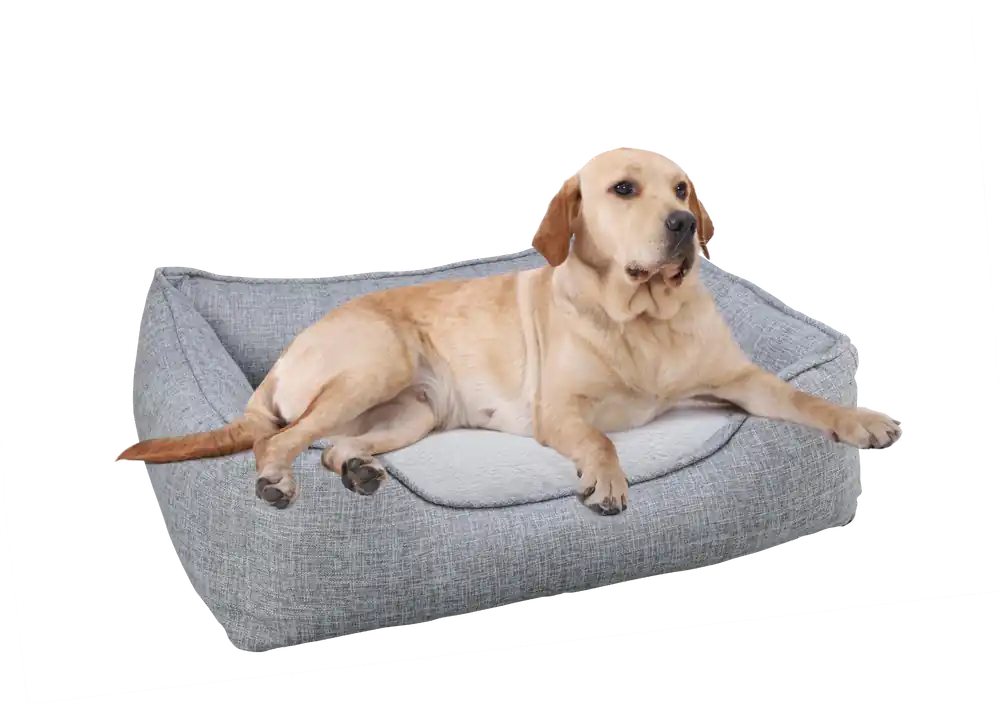 Main St. Pet™ Cuddler 25"x21" Dog Bed Assorted Colors