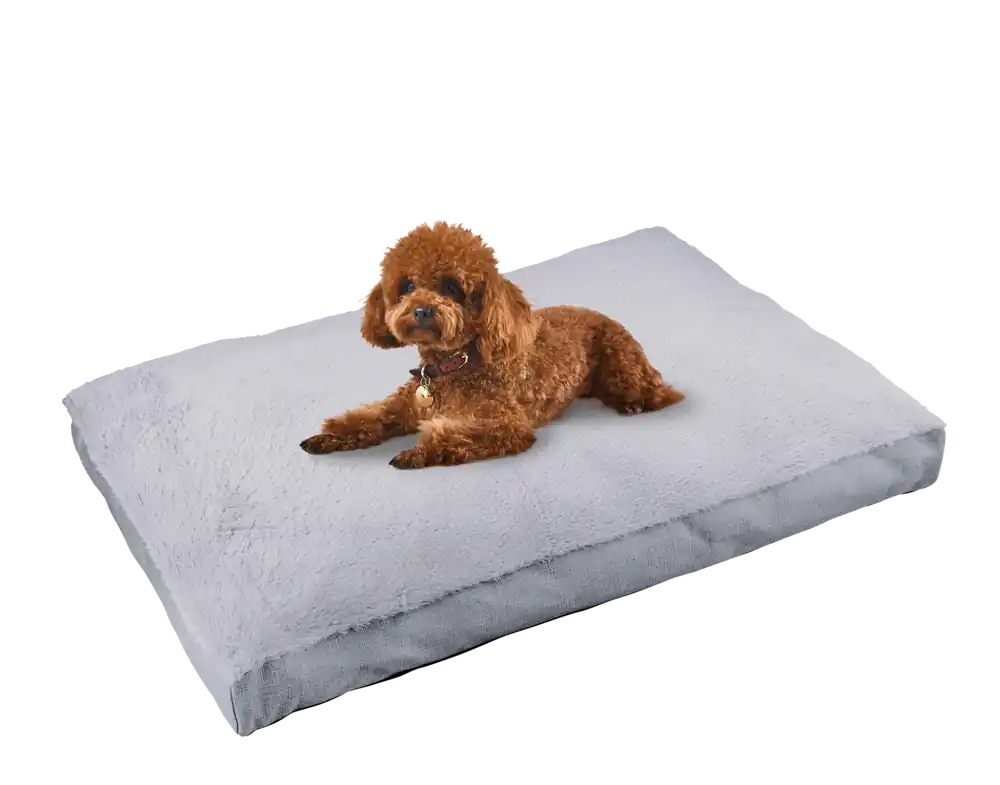 Main St. Pet™ Medium 30"x20" Mattress Dog Bed Assorted Colors