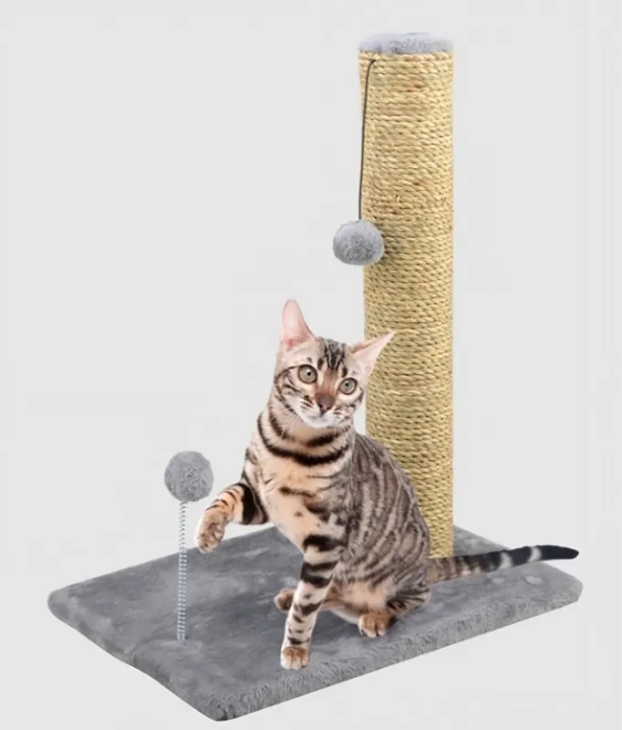 Main St. Pet™ Cat Scratch Post