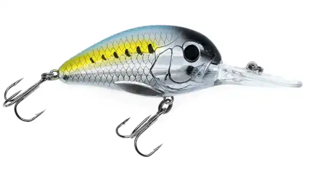 American Baitworks Freedom Rad 50 Crank Bait Streak Shad