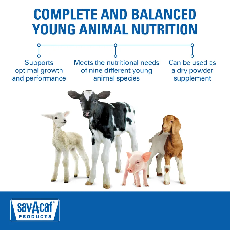 Sav A Caf 01-7428-0217 Ultra 24 Livestock Milk Replacer, 8-Lbs