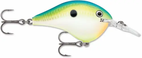 Rapala Dives To Crankbait Lure - DT06 CTSD Citrus Shad
