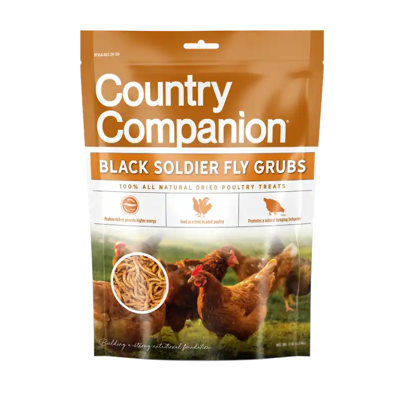 Country Companion Black Solider Fly Grubs Poultry Treats 2lbs