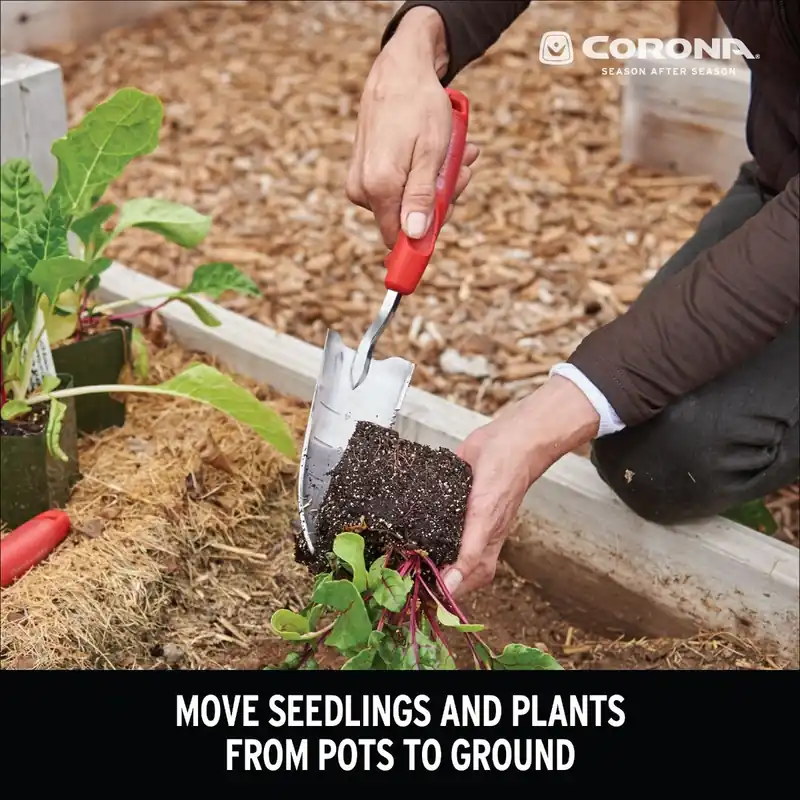 Corona Premium Stainless Steel ComfortGEL® TRANSPLANTER