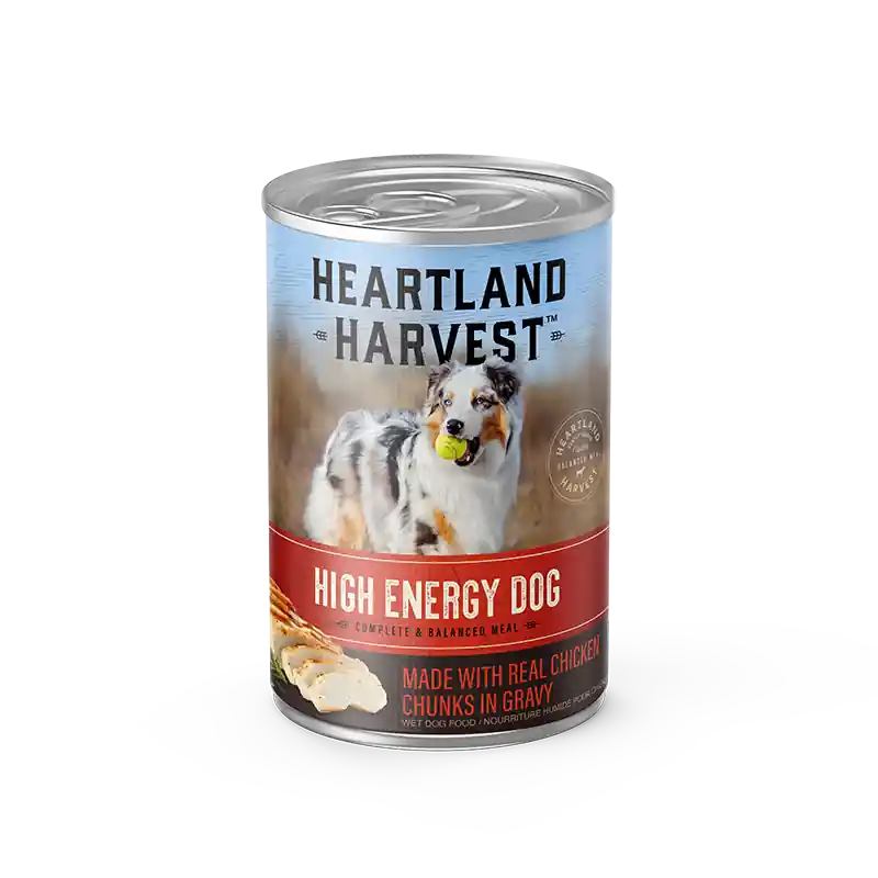 Heartland Harvest High Energy Wet Dog Food-Chicken14.5oz