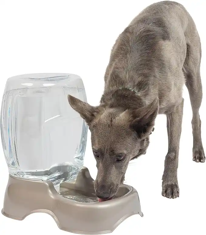 Petmate Pet Cafe Gravity Water Bowl Cat and Dog Water Dispenser 3 Gallon