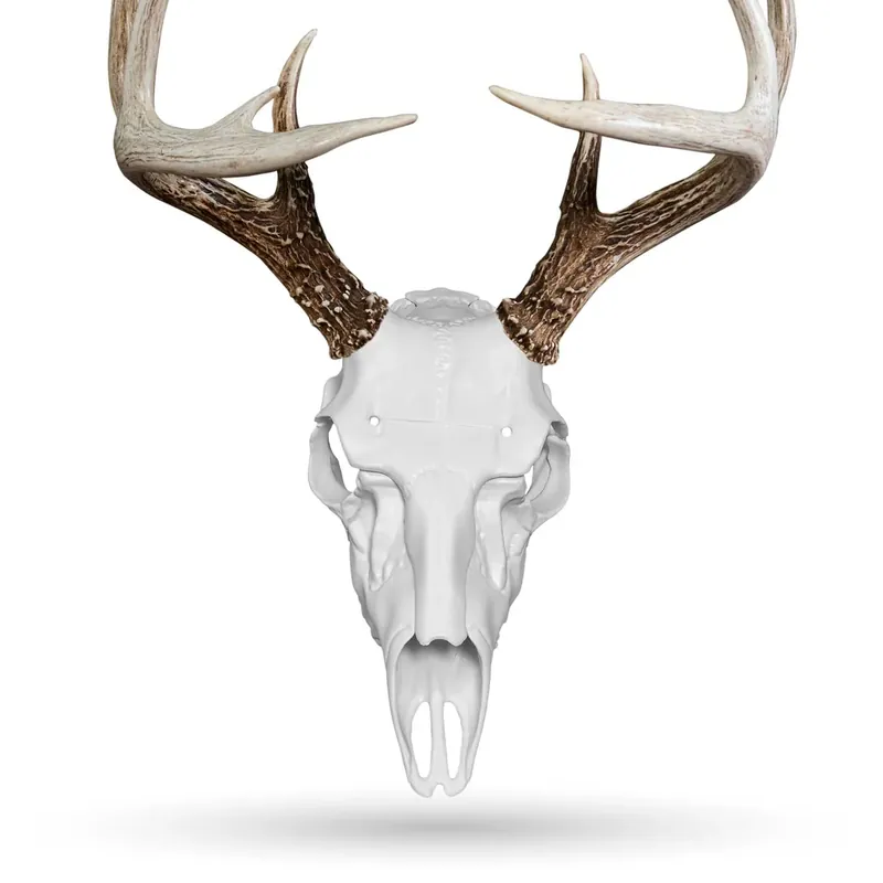 Illusion Systems Skull Master - White Deer Mounting Kit