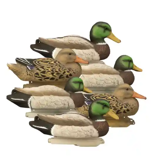 Higdon Outdoors Standard Mallard Decoy 6Pk