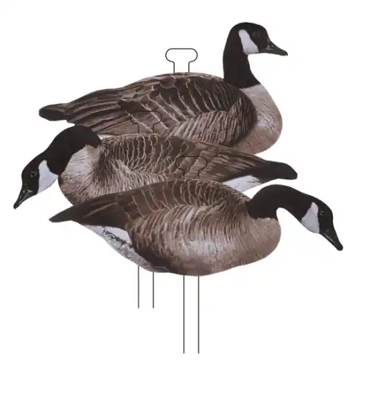 Higdon Outdoors Canada Goose Decoys Flat Standard Silhouettes