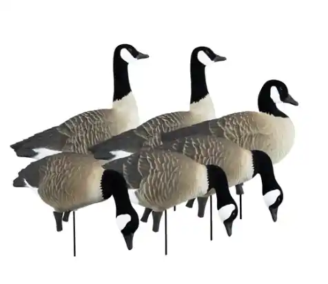 Higdon Outdoors Apex Full-Size Full-Body Canada Geese Decoys