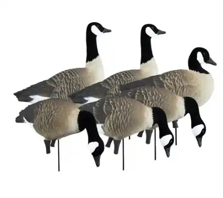 Higdon Outdoors Apex Full-Size Full-Body Canada Geese Decoys 6Pk
