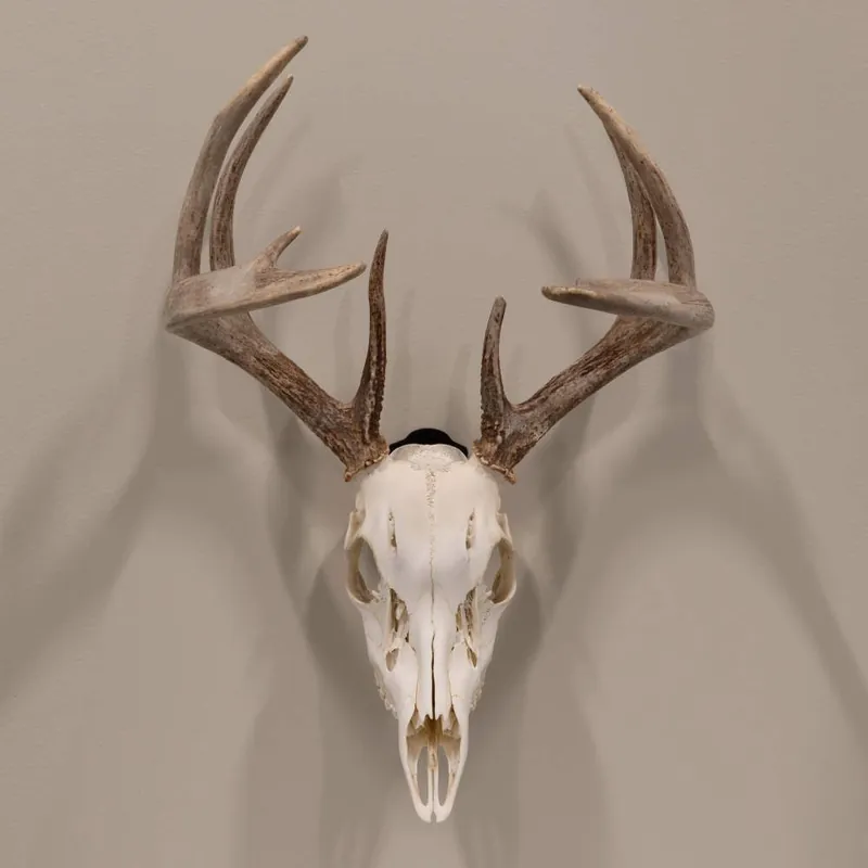 Allen Company EZ Mount Skull Peg Hook, Black