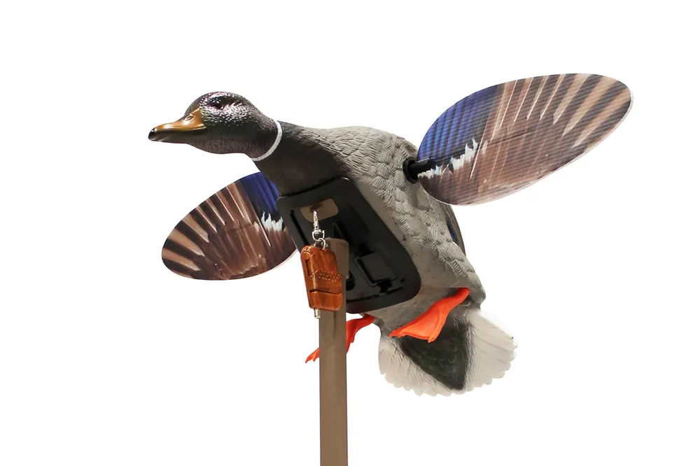 MOJO Mallard Elite Series - Mini Mallard Drake w/ Remote
