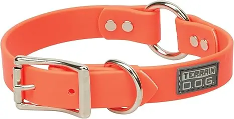 Terrain D.O.G X-Treme Adventure Dog Collar - Blaze Orange 1" x 21"