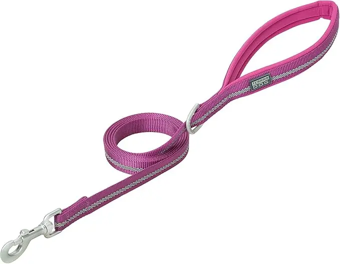 Terrain D.O.G Reflective Neoprene Lined Dog Leash - Purple 1" X 4‘