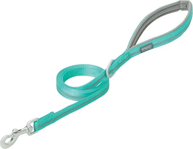 Terrain D.O.G Reflective Neoprene Lined Dog Leash - Mint 1" X 4‘