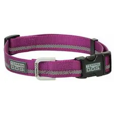 Terrain Reflective Snap-N-Go Adjustable Nylon Dog Collar - Purple