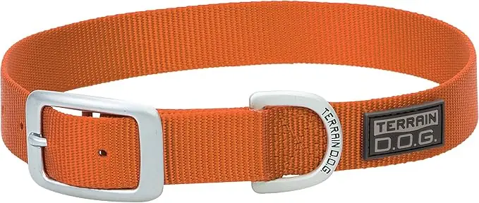 Terrain D.O.G Nylon Single-Ply Dog Collar - Orange 3/4" X 17"