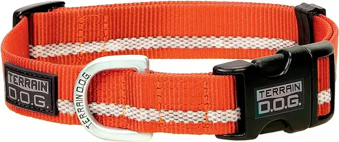 Terrain D.O.G Reflective Snap-N-Go Adjustable Nylon Dog Collar - Orange