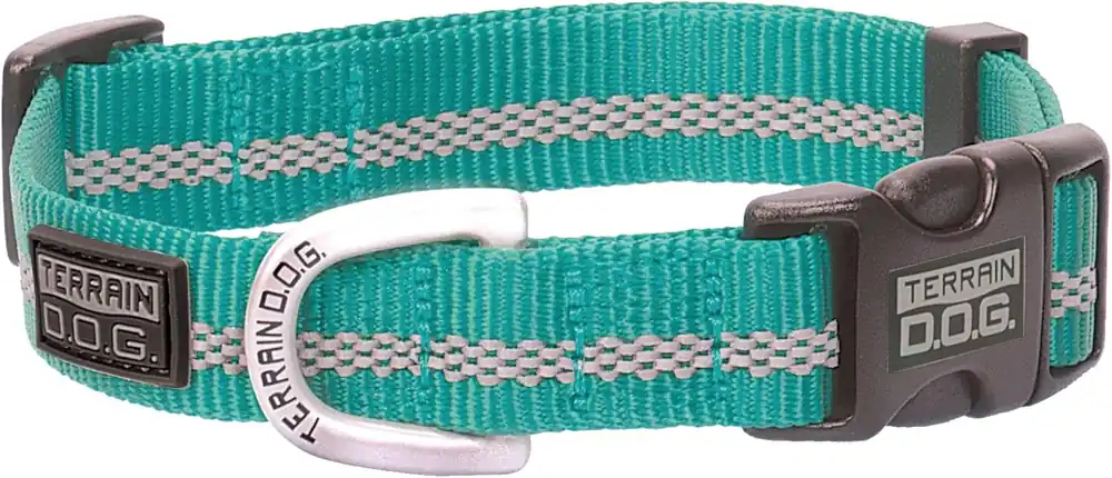 Terrain D.O.G Reflective Snap-N-Go Adjustable Nylon Dog Collar - Mint