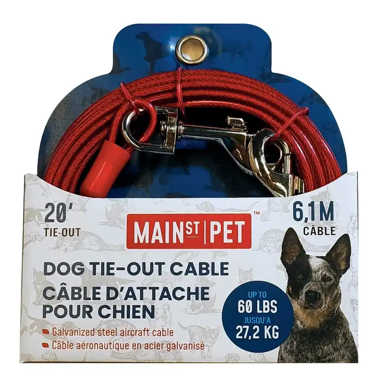 Main St. Pet™ 20 Ft. Dog Tie-Out Cable