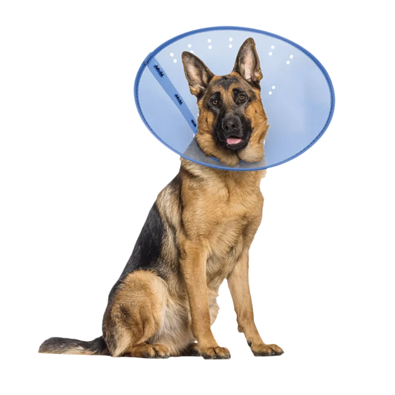 Calm Paws E-Collar for Dogs