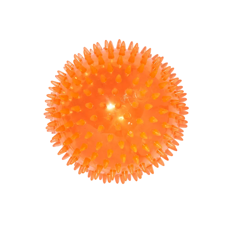 Main St. Pet™ 5" Spiky Bouncy Ball Dog Toy