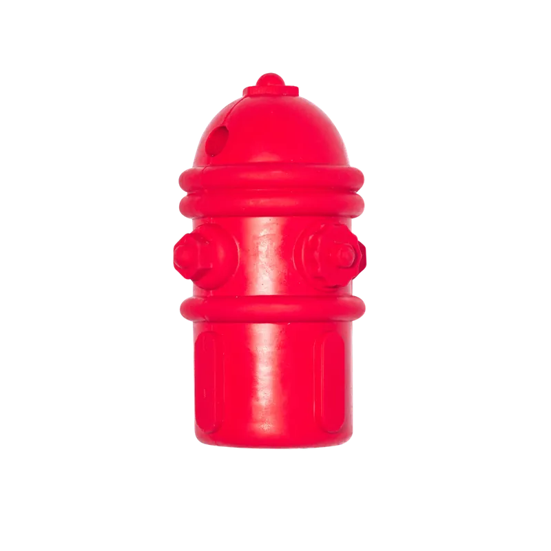Main St. Pet™ Tough Fire Hydrant Rubber Dog Toy