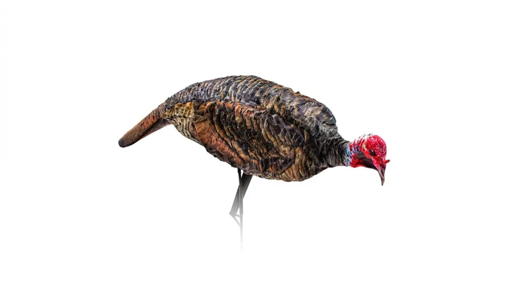 Montana Decoy Purrfect Pair XD Turkey Combo