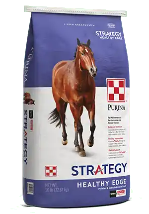 Purina® Strategy® Healthy Edge® Horse Feed 50lbs