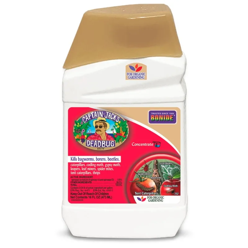 Captain Jack’s DeadBug Brew® Concentrate 16oz