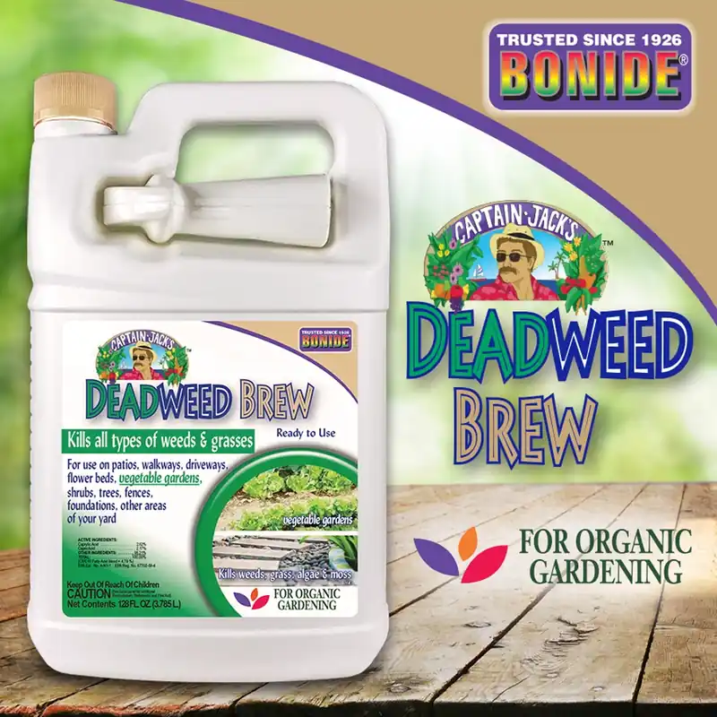 Captain Jack’s Deadweed Brew Ready-to-Use 1 Gallon