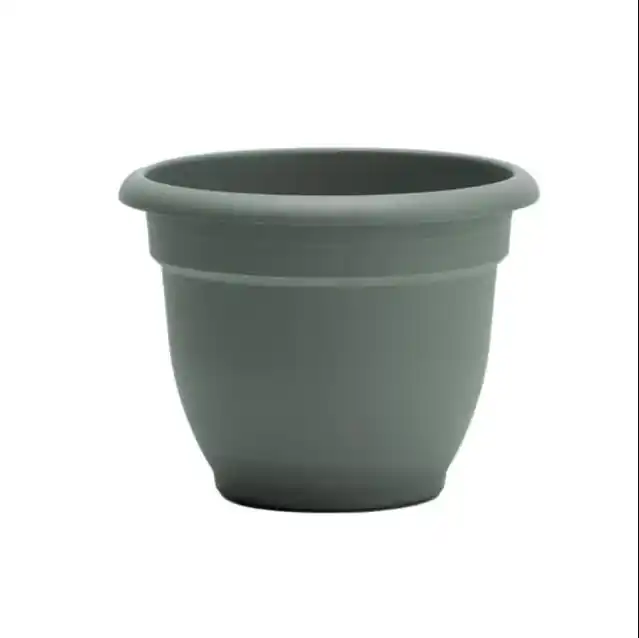 Bloem 8" Ariana Basil Planter