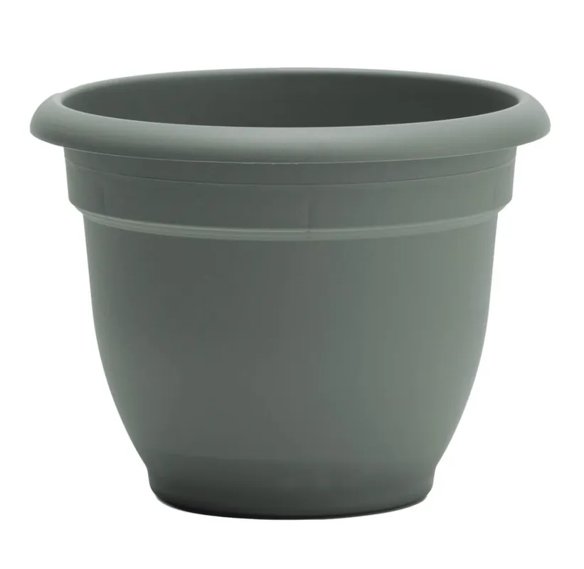 Bloem 10" Ariana Basil Planter