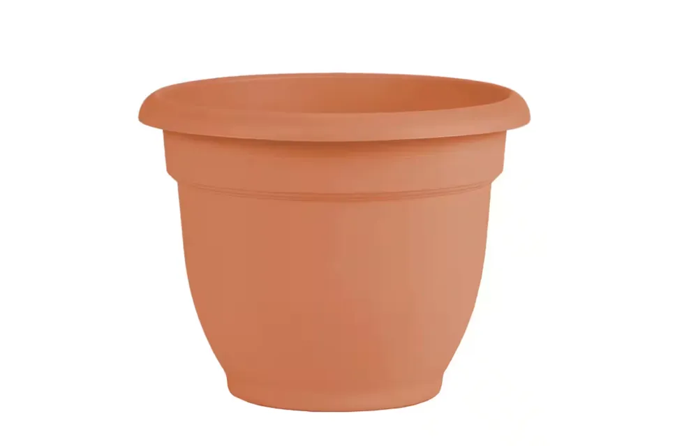 Bloem Ariana 12 In. Plastic Self Watering Terracotta Planter With Drainage